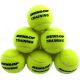 Dunlop Trainings-Tennisbälle, Beutel, 60 Stück, 605034
