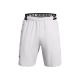 UNDER ARMOUR UA Vanish Woven Shorts (1370382-014)