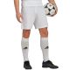 3. adidas Entrada 22 M HG6295 Shorts