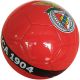 9. BENFICA FOOTBALL R.5