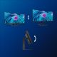 32. PHILIPS LED-MONITOR 34" 346E2CUAE/00