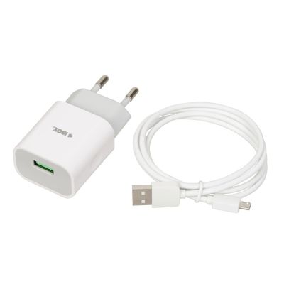 2. iBOX C-41 USB 2A Wandladegerät, 1 USB-Anschluss, Micro-USB-Kabel