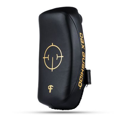 9. PAO Gold Thai Shields Paar | ProFighter | DBX Bushido