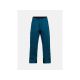 Peak Performance M Ascent Softshellhose grün
