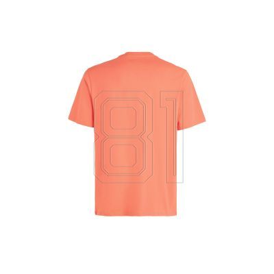 2. O'Neill Cali Original T-Shirt M 92800613165