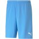 5. Puma teamRise Short Team M 704942 18 Shorts