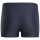 2. adidas Performance Big Bars Swim Jr IT2693 Badeshorts
