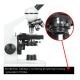 7. Delta Optical BioStage II Mikroskop