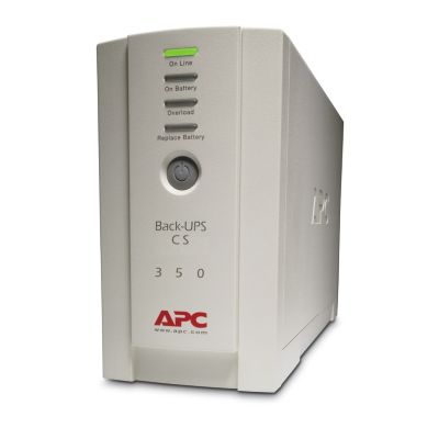 2. APC Back-UPS BK350EI (350VA) USV