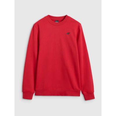 6. Herren Sweatshirt ohne Reißverschluss, ohne Kapuze, 4F 4FWMM00TSWSM1767-062S