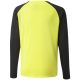 4. Puma teamPacer GK LS Trikot Jr 704939 42