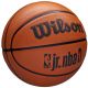2. Wilson NBA Jr DRV Fam Logo Ball WZ3013001XB Basketball