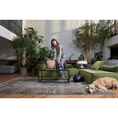 53. Hoover HE120PET 011 7809079 2,5-Liter-Staubsauger mit Trockenfunktion und 700-Watt-Staubbeutel