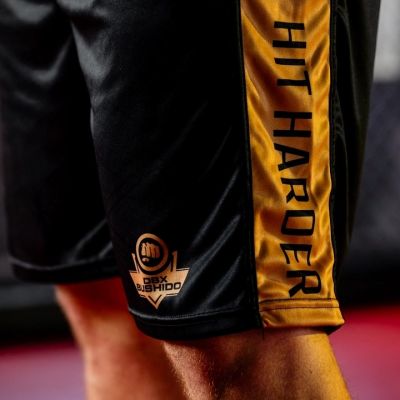 5. GOLD Trainings-Boxshorts