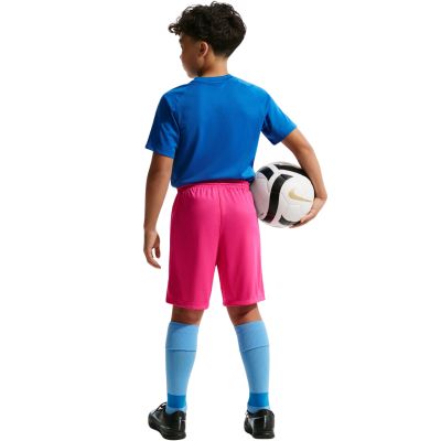 9. Nike Dry Park III NB K Kindershorts Pink BV6865 616