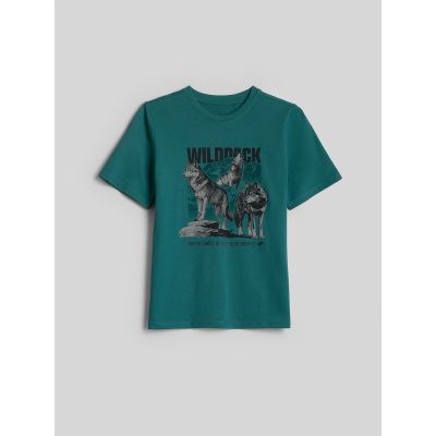 5. Normales bedrucktes Jungen-T-Shirt 4F 4FJKAW26TTSHM4455-46S