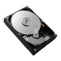 DELL 161-BBRX 8 TB 7200 U/min 3,5" SAS-Festplatte