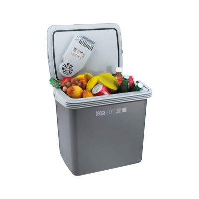 10. Teesa TSA5001.1 Reisekühlschrank 25 l Strom Grau