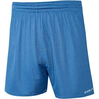 Colo Verse Volleyballshorts M 06 