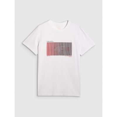 8. Herren-T-Shirt mit Aufdruck, regulär, Größe 4F 4FRAW25TTSHM3224-10S