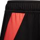 9. adidas Tiro 24 Jr IT2424 Shorts