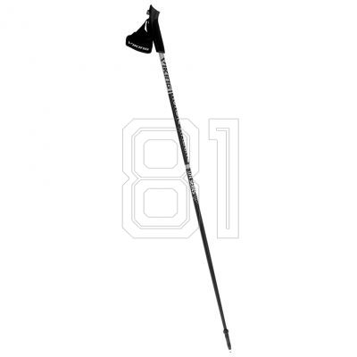 Nordic Walking Viking Lite Pro poles 110 cm 650-21-4563-08-110