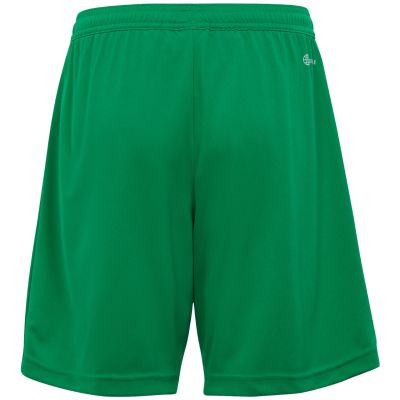 14. adidas Entrada 22 Jr IC7410 Shorts
