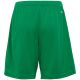 14. adidas Entrada 22 Jr IC7410 Shorts
