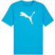 3. Puma Team Rise Logo Jersey Baumwolle M 658705 02