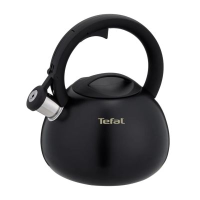 TEFAL N4180410 nicht elektrischer Wasserkocher