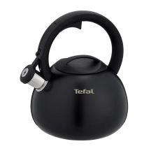 TEFAL N4180410 nicht elektrischer Wasserkocher