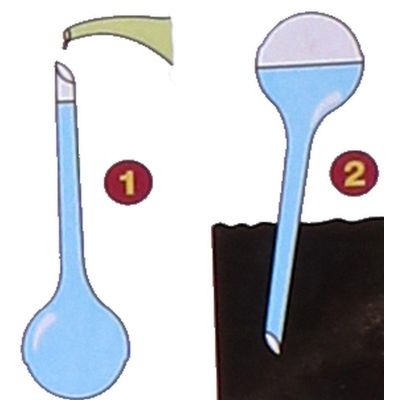 2. Automatischer Wasserspender mit Wasserkugel, 250 ml, blau