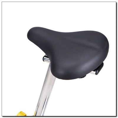 24. HMS M6993 Magnetisches Fahrrad