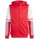 14. Adidas Squadra 25 Hoodie Jr JD4801 Sweatshirt
