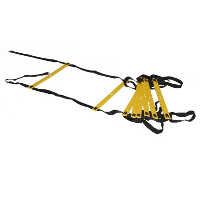 18. Power BB 2403 Speed-Trainingsleiter