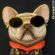 8. Nimmy Glasses Cool Dog iPhone 17 Hülle - Schwarz