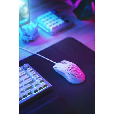 11. Glorious Model O 2 Weiße Maus