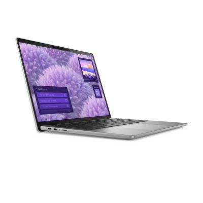 28. Dell I14-5441421001602SAK1 Snapdragon X Plus X1P-42-100 14" WUXGA AG 16GB SSD1TB BT BLKB Win11 Titangrau (REPACK) 2 Jahre