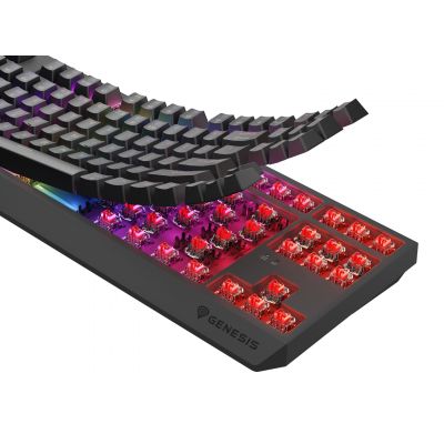 4. GENESIS Thor 230 TKL Gaming-Tastatur USB + RF Wireless + Bluetooth QWERTY Grau