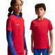 13. Nike Dri-Fit Park VIII Kinder-T-Shirt Rot HV8182 657
