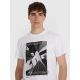 5. Herren-T-Shirt 4F 4FRAW25TTSHM3258-10S