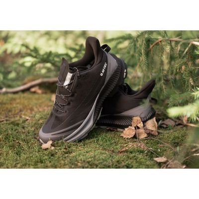 7. Herren-Trekkingschuhe ALTITUDE LTE WP
