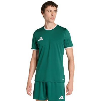 adidas Entrada 26 Herren-Trikot grün KE9832
