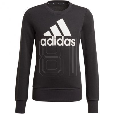 Adidas Essentials Big Logo Jr GP0040 Sweatshirt