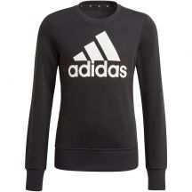 Adidas Essentials Big Logo Jr GP0040 Sweatshirt
