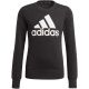 Adidas Essentials Big Logo Jr GP0040 Sweatshirt