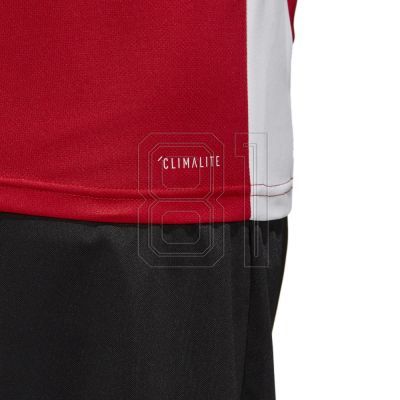 4. adidas Entrada 18 CF1038 Fußballtrikot