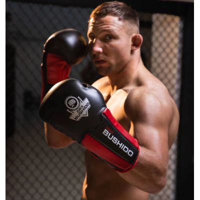 3. 12oz Boxhandschuhe - Phantom Red - Valor Series