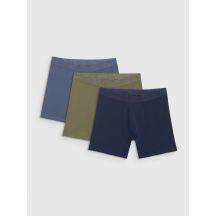 Herren-Boxershorts (3er-Pack) 4F 4FRMM00UBXSM077-90S