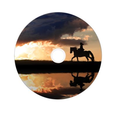 4. DVD Verbatim 43667 (8,5 GB; 8x; 25 Stück; Kuchen)